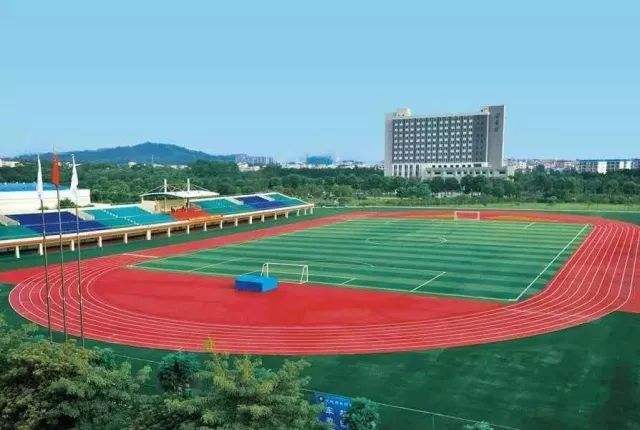 綿陽廣播電視大學鹽亭分?！鸽姶蟆?></a></div>
          <dl>
              <dt><a href=