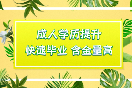 專(zhuān)科可以考研嗎