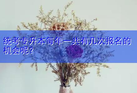 統(tǒng)考專(zhuān)升本每年一共有幾次報(bào)名的機(jī)會(huì)呢？