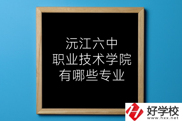 湖南沅江六中職業(yè)技術(shù)學(xué)院有哪些專業(yè)？