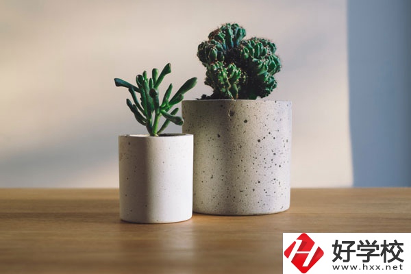 芷江民族職業(yè)中專招生專業(yè)有哪些？收費(fèi)標(biāo)準(zhǔn)如何？