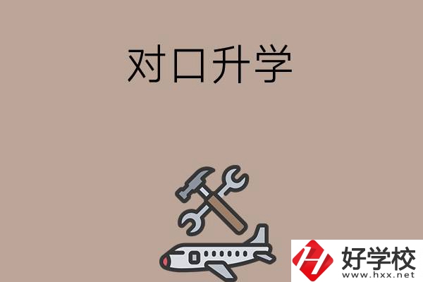 職高學(xué)生參加湖南省對口升學(xué)，有什么本科可以報考？