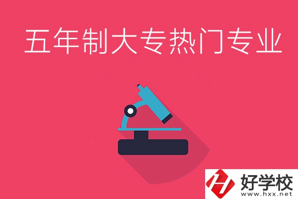 湖南五年制大專最熱門的專業(yè)有哪些？