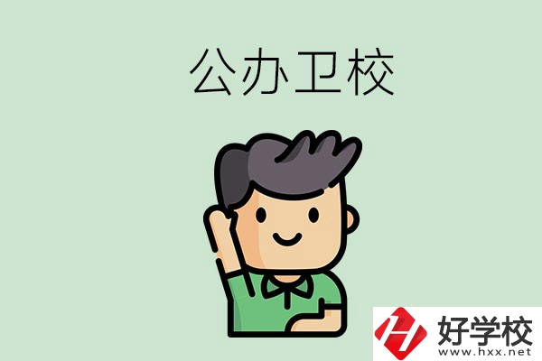 湖南的公辦衛(wèi)校有哪些？這兩所學(xué)校值得推薦！