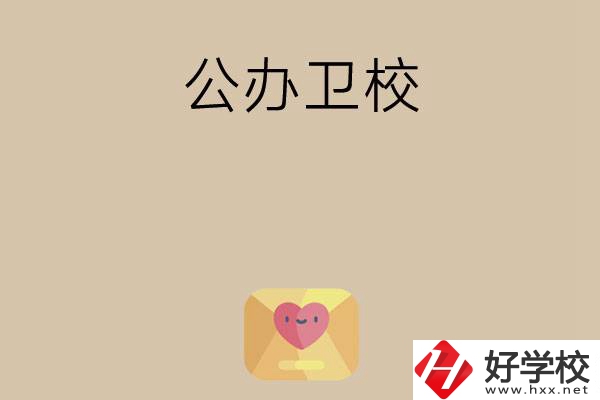 想在湖南上公辦衛(wèi)校？這所學(xué)校值得一看