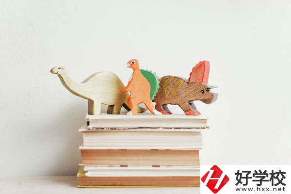 懷化啟航衛(wèi)生學(xué)校辦學(xué)地址在哪兒？