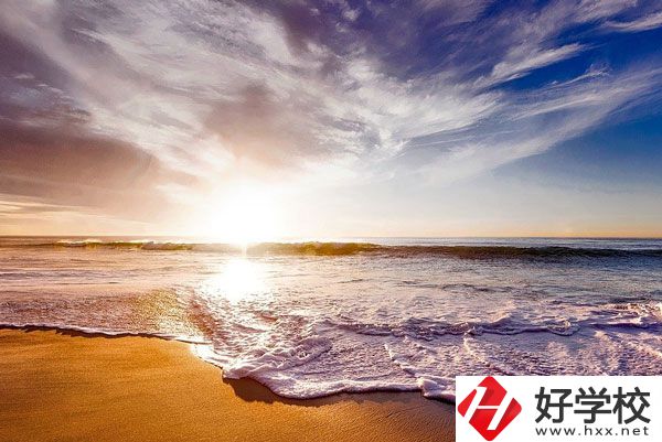 桃源縣機電成人中專學校的專業(yè)