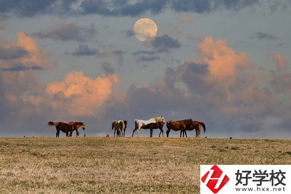 邵陽工業(yè)學(xué)校是公辦還是民辦？有什么優(yōu)勢？