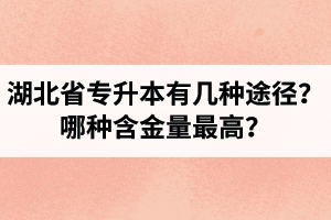 湖北省專升本有幾種途徑？哪種含金量最高？