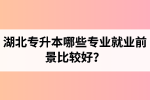 湖北專升本哪些專業(yè)就業(yè)前景比較好？