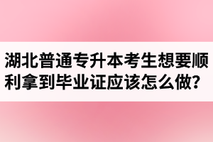 湖北普通專升本考生想要順利拿到畢業(yè)證應(yīng)該怎么做？