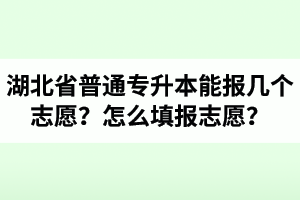 湖北省普通專升本能報(bào)幾個(gè)志愿？怎么填報(bào)志愿？