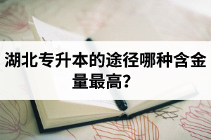 湖北普通專升本英譯漢段落翻譯分析應(yīng)該怎么做？