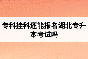?？茠炜七€能報(bào)名湖北專升本考試嗎？在哪里能獲取最新的專升本資訊？