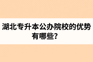 湖北專升本公辦院校的優(yōu)勢有哪些？為什么大家都想報公辦學校？
