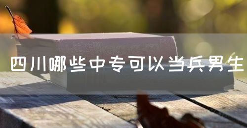 四川哪些中?？梢援?dāng)兵男生(圖1)