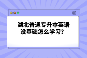 湖北普通專升本英語沒基礎(chǔ)怎么學(xué)習(xí)?