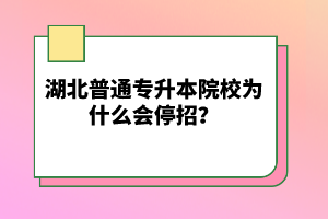 湖北普通專升本院校為什么會停招？