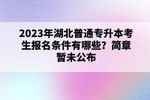 2023年湖北普通專升本考生報(bào)名條件有哪些？簡章暫未公布