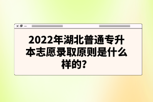 2022年湖北普通專升本志愿錄取原則是什么樣的？