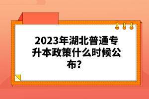 2023年湖北普通專升本政策什么時(shí)候公布？
