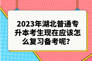 2023年湖北普通專升本考生現(xiàn)在應(yīng)該怎么復(fù)習(xí)備考呢？