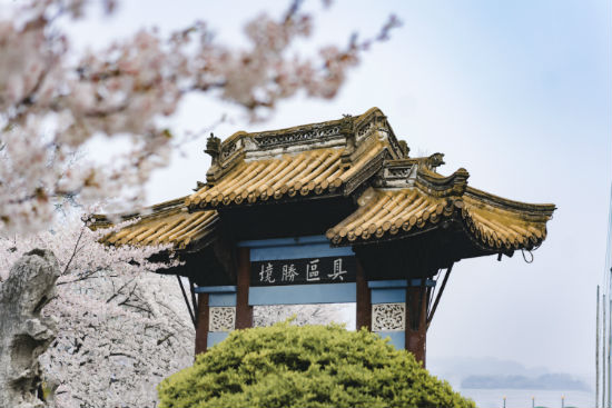 西南大學(xué)專升本報名截止時間是什么時候？
