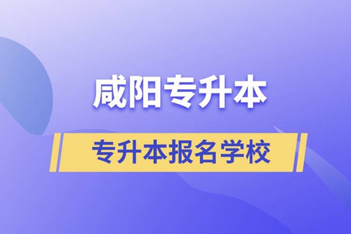 咸陽(yáng)專升本有哪些學(xué)?？蓤?bào)名？