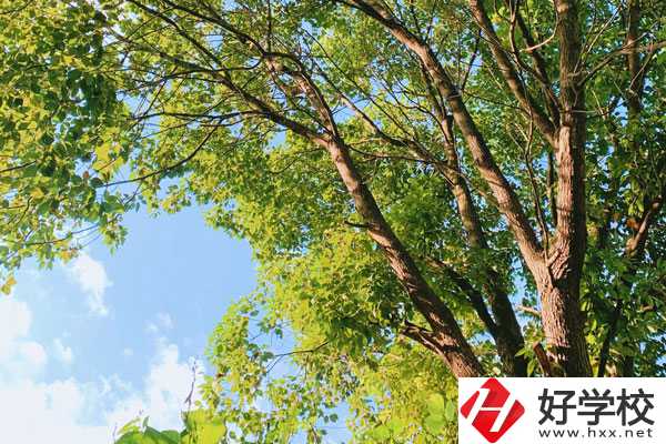 衡陽南華科技學(xué)校教學(xué)質(zhì)量怎么樣？