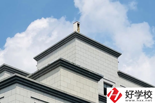 麻陽(yáng)苗族自治縣職業(yè)中等專業(yè)學(xué)校有哪些專業(yè)？