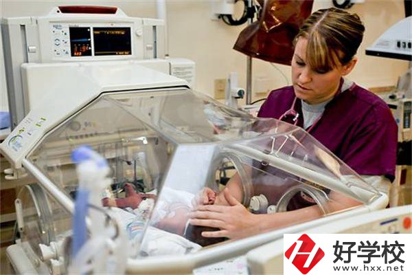 湖南中職學校開設(shè)最多的專業(yè)有哪些？就業(yè)前景怎么樣？
