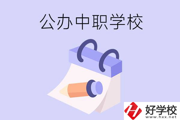 湖南公辦中職學(xué)校有哪些辦學(xué)規(guī)模比較大的？