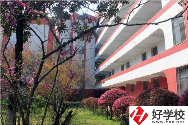 婁底有哪些技校？哪一所比較好？