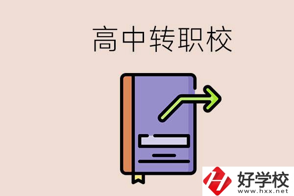 有在讀高中不想讀轉(zhuǎn)職校的例子嗎？能轉(zhuǎn)到湖南職校嗎？