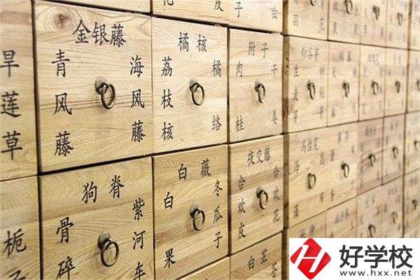 湖南省哪些中職有中藥專業(yè)？