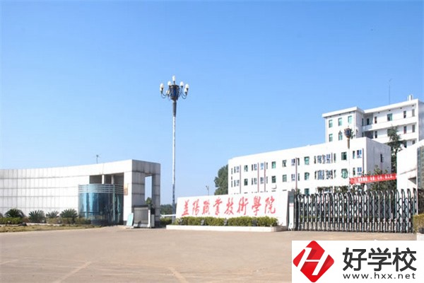 益陽職業(yè)技術學院是公辦還是民辦？有哪些辦學特色？