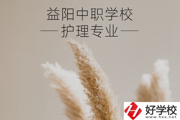 益陽護(hù)理專業(yè)的中職學(xué)校有哪些？需要哪些要求？