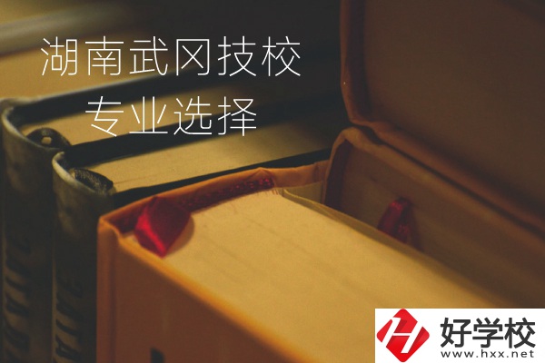 湖南武岡技校怎么樣？有哪些專(zhuān)業(yè)可以選擇？