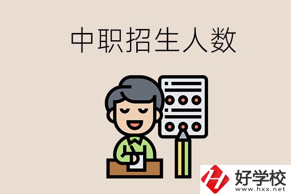湖南中職學(xué)校每年的招生人數(shù)是多少？