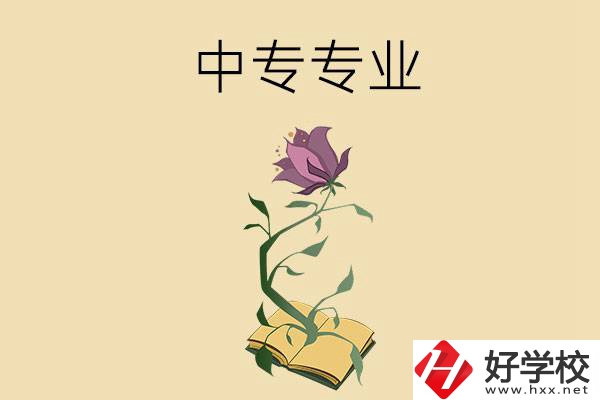 在張家界讀中專，學(xué)什么專業(yè)比較好？