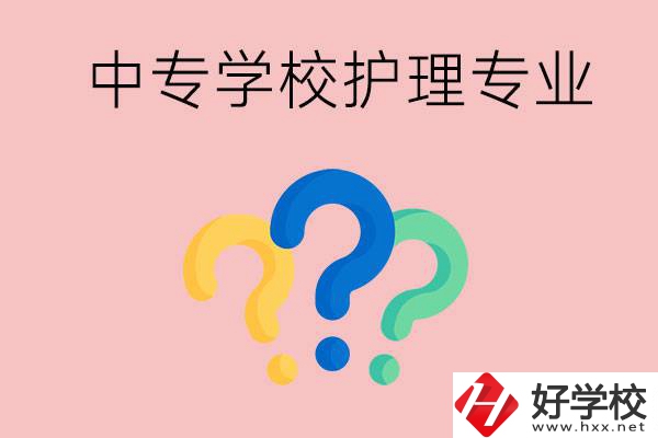 湖南的公辦中專學(xué)校哪些可以學(xué)護(hù)理專業(yè)？