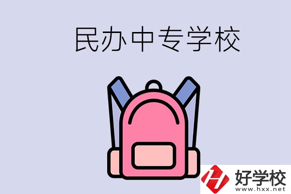 益陽(yáng)的民辦中專學(xué)校有多少所？辦學(xué)怎么樣？