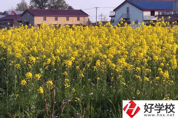 湖南省有哪些比較好的技校？熱門專業(yè)有哪些？