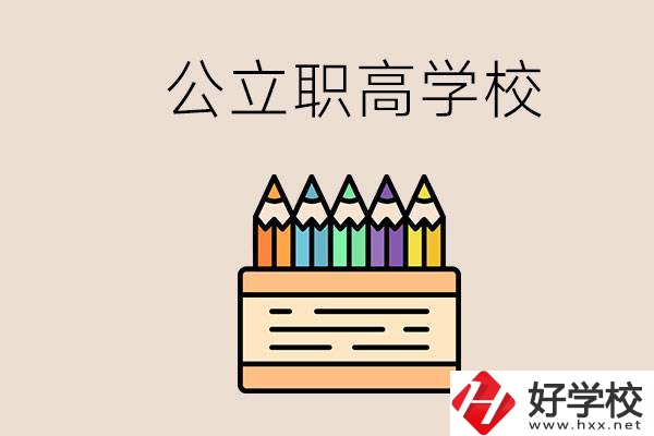 岳陽的公立職高學校有哪些？學費一般是多少？