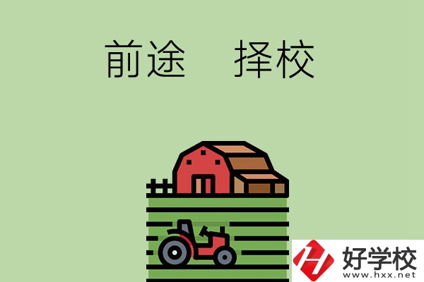 在長沙讀中職學(xué)校有前途嗎，如何擇校？