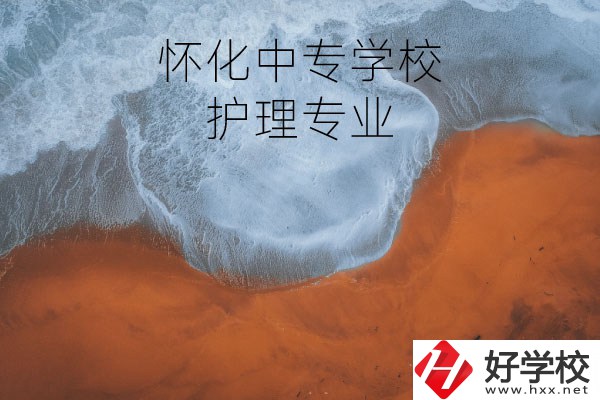 懷化有學(xué)護理專業(yè)的中專學(xué)校嗎？