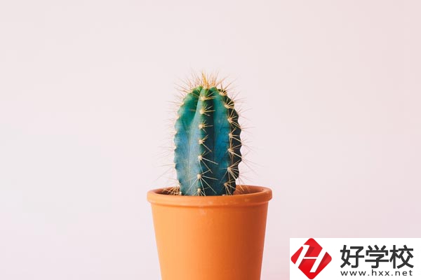 長沙有哪些中職學(xué)?？梢詫W(xué)習(xí)幼師專業(yè)？