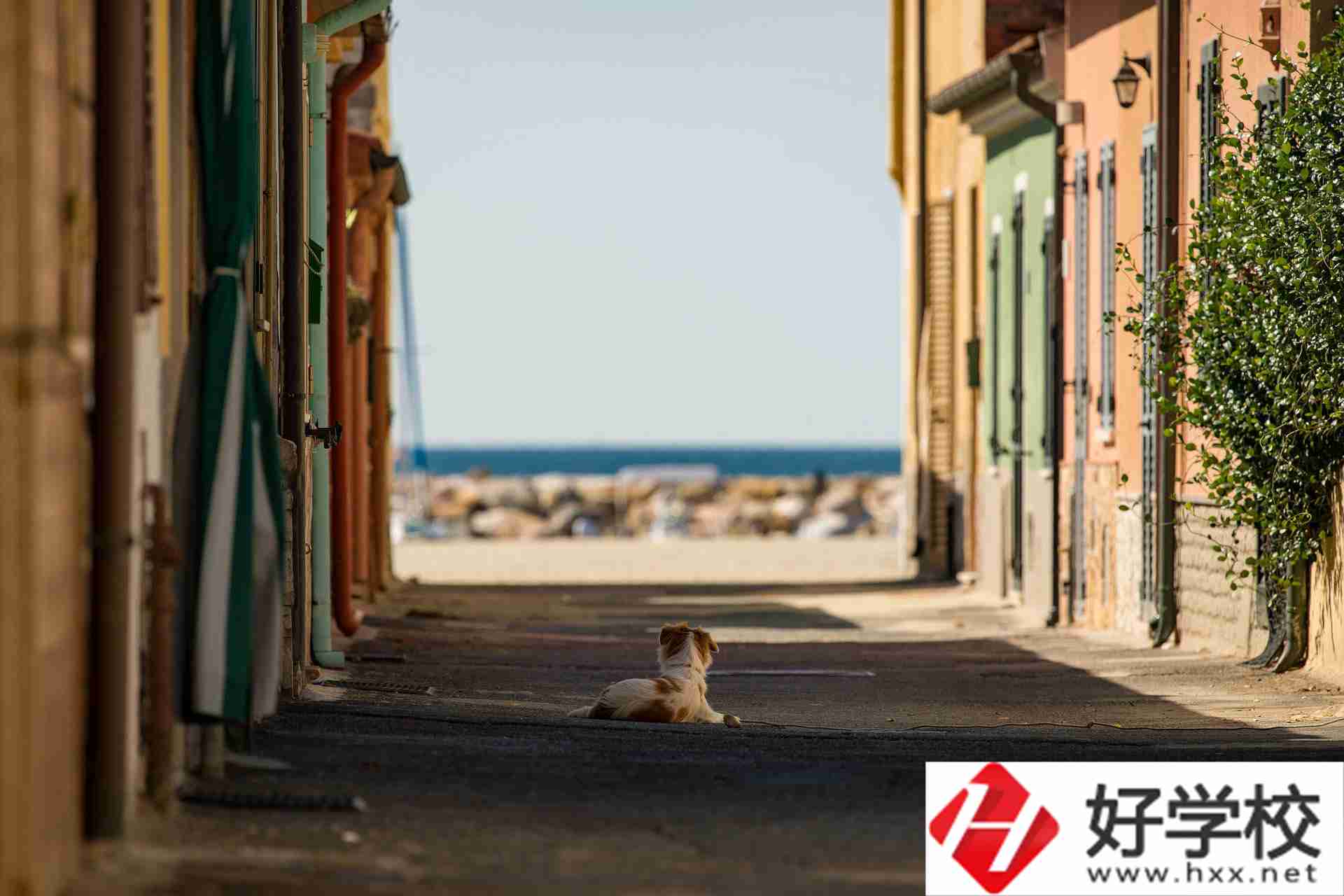 益陽市四通電腦中等專業(yè)學校什么專業(yè)強？