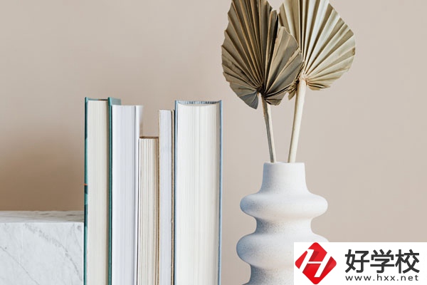 懷化職業(yè)技術(shù)學(xué)院(中職部)好不好，值得選擇嗎？