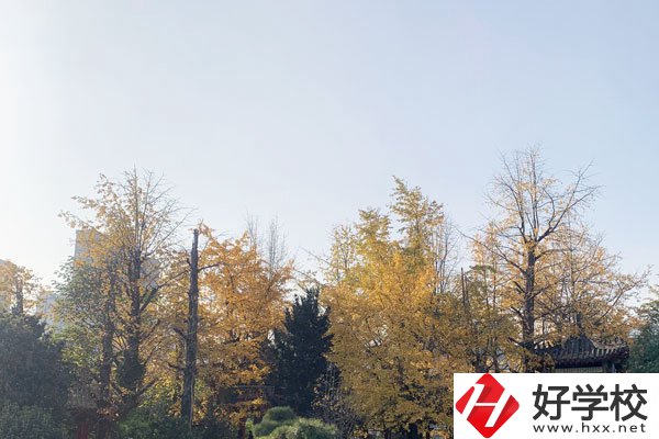 湘潭縣就業(yè)職業(yè)技術(shù)學(xué)校有哪些專業(yè)？就業(yè)前景怎么樣？
